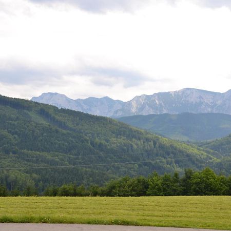 Gasthaus Schoeberingerhof Weyregg Exteriör bild